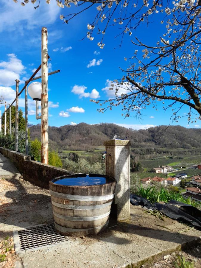 Bed and Breakfast L'Oro Di Nonna Adele Nimis Esterno foto