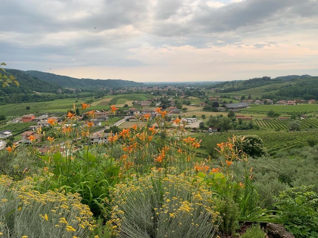 Bed and Breakfast L'Oro Di Nonna Adele Nimis Esterno foto